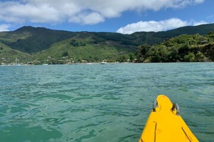 Half-Day Guided Sea Kayaking Tour from Anakiwa image