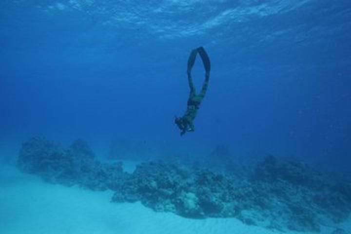 Spearfishing image