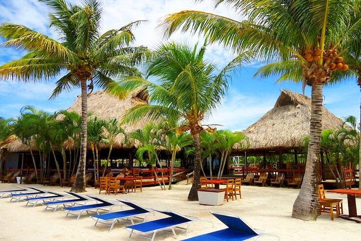 Roatan Las Palmas Beach Club, FREE Sloths & Monkey, Private Transportation image