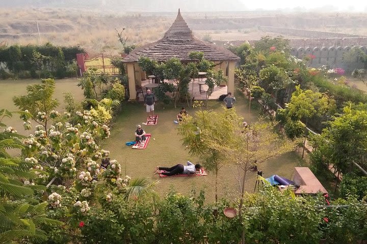 Yoga In Jaipur image