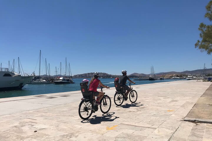 eBike Tour to the Coast with Seaview Lunch image