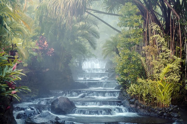 Arenal Volcano And Tabacon Hot Springs image