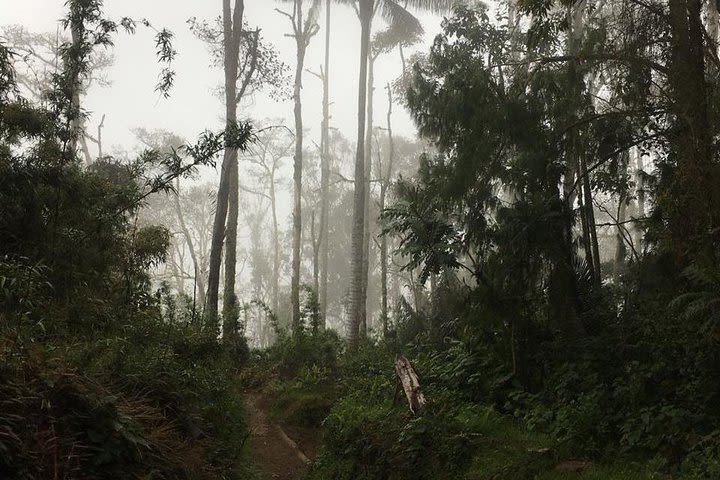 Trekking Finca La Argentina 2 days (3450 masl) image