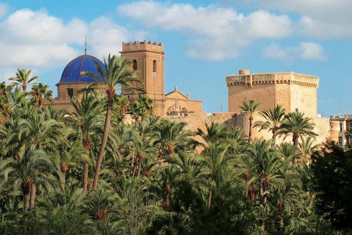 Alicante Full Day Experience Including Visit to Elche with Transfers image