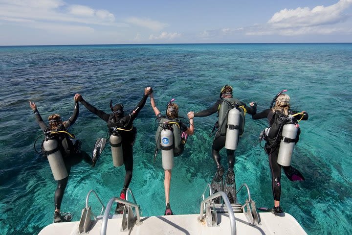 Diving & Water Sports Tour image