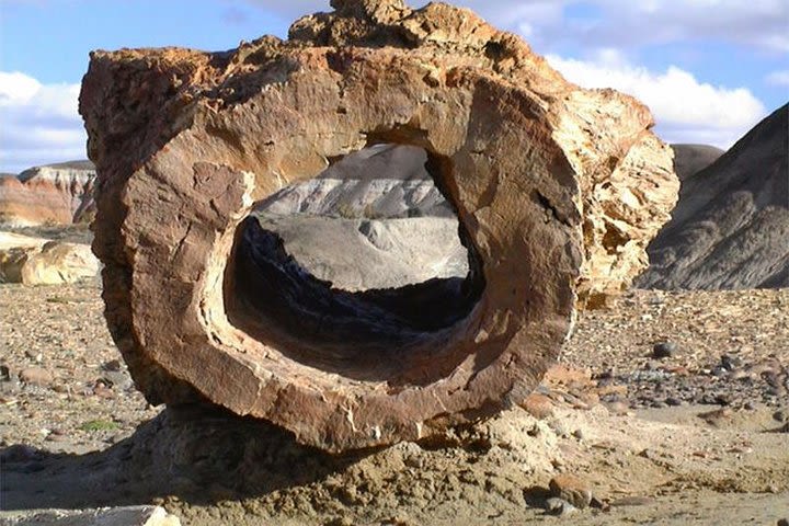 La Lioness Petrified Forest image