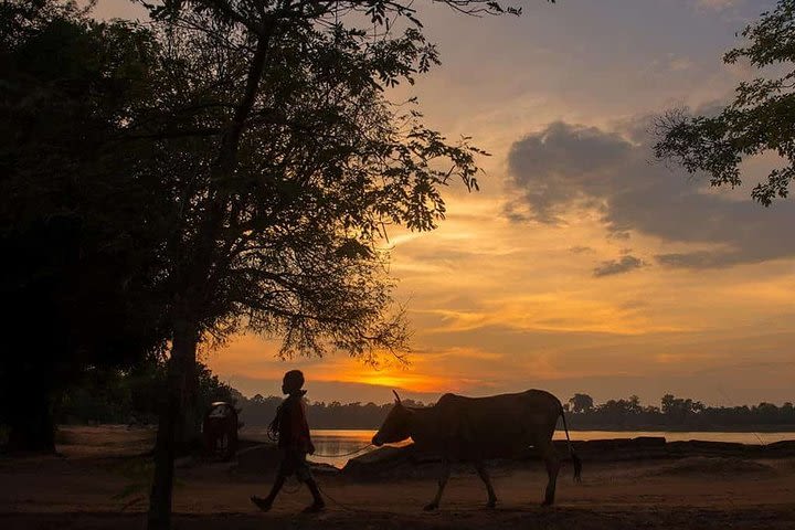 Full Day - Banteay Srei - Banteay Samre - Grand Circuit (Private)  image