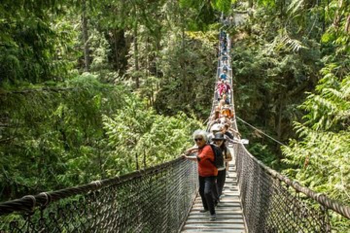 Mesmerizing Nature Walk in Lynn Canyon Park  image