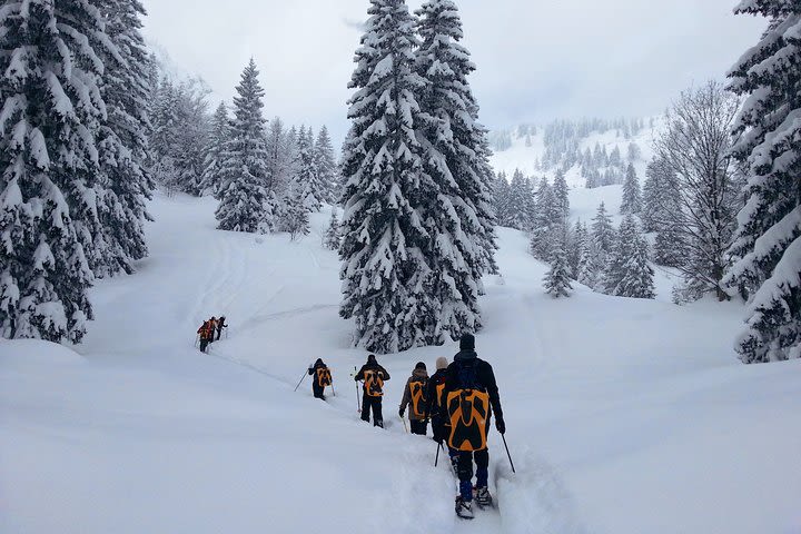 Snowshoe tour on Schliersee with zipflbob ride image