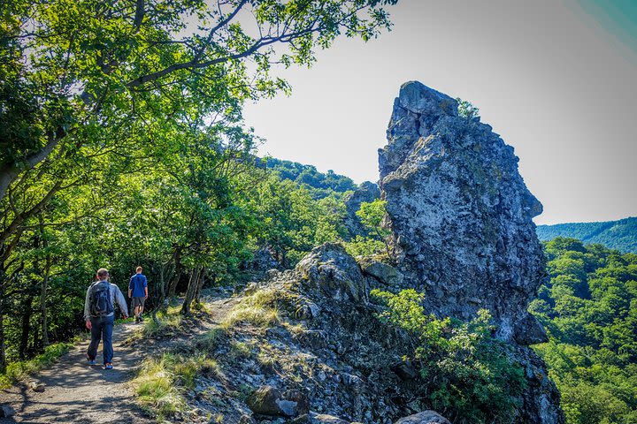 One Day Wonder Hiking Trip image