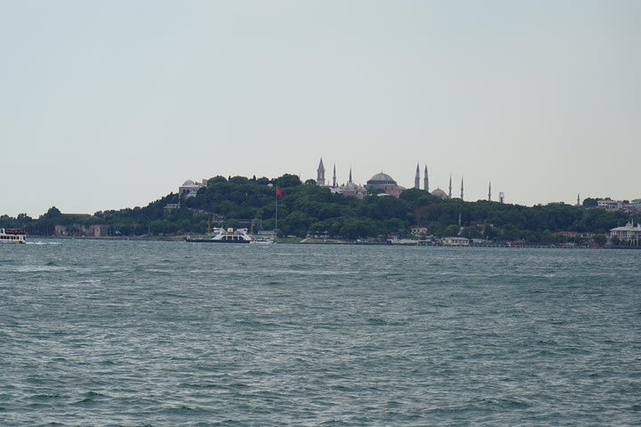 Half Day Morning Bosphorus Cruise & Spice Bazaar visit (Bus and Boat Tour) image