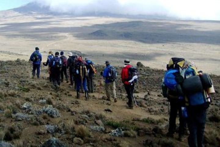 Machame Route 6 days 5 Nights/Kilimanjaro Climb  image