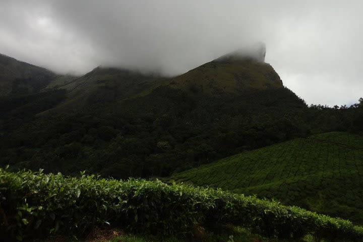 Trek to Lakshmi Hills, Munnar - A Guided Group Tour image