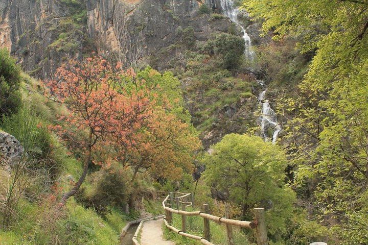 Guided Tour: Hanging bridges Los Cahorros (S.N.) image