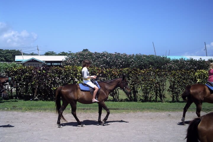 Horseback Riding , Blue Hole Secret Falls and River Tubing & River Rafting Tour image