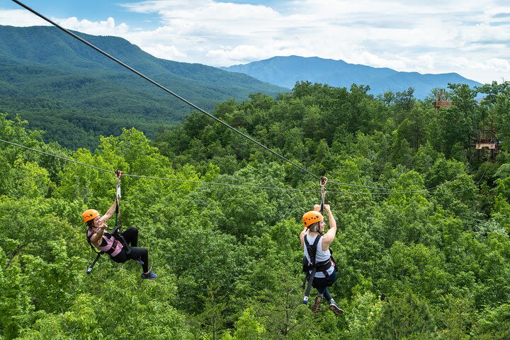 Mountaintop Zipline Tour image