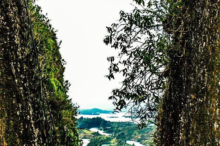 Guatapé Town, Coffee farm and the Rock image