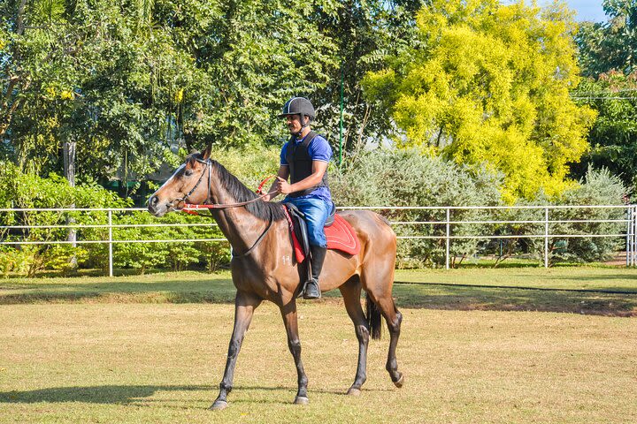 Horse Riding for Beginers from Dambulla image