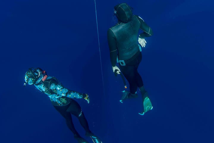 Apnea Discovery image