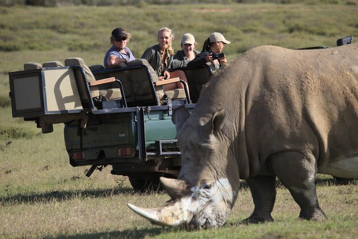 Private Garden Route Tour from Cape Town with Game Drive image