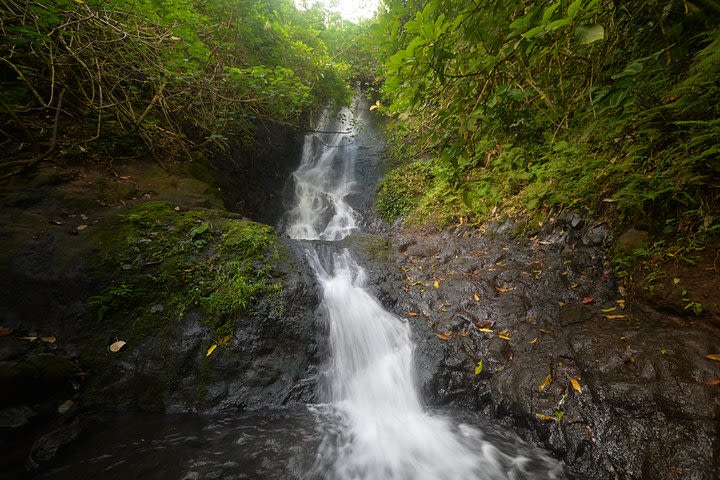 Ko'olau Waterfall Hike image