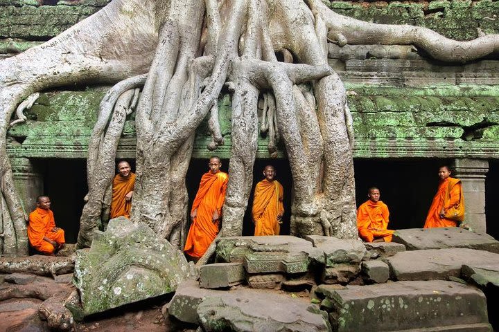 Angkor Wat Excursions with Khmer Lunch and Entrance fee image