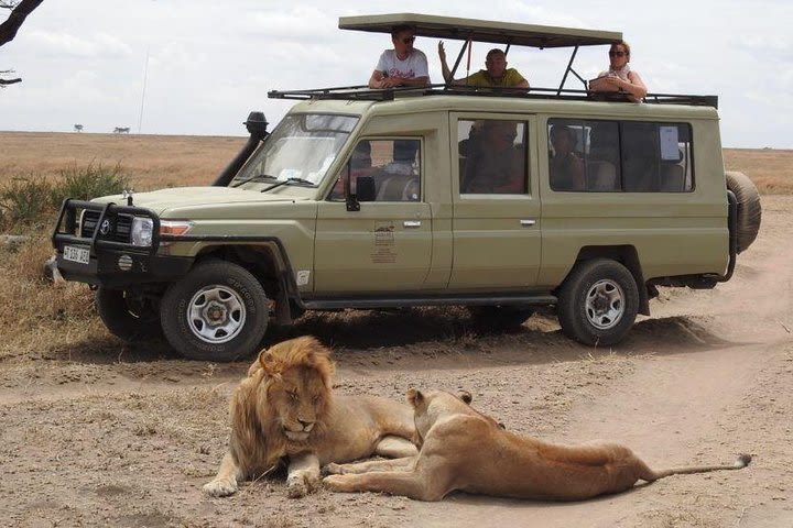 4-Day Serengeti, Olduvai Gorge and Ngorongoro Safari from Mwanza to Arusha image