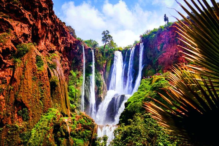 Semi-private and Shared small group to ouzoud waterfalls from Marrakech  image