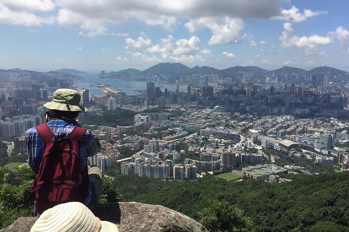 5-Hour Hiking Tour in The Green to Lion Rock in Hong Kong image