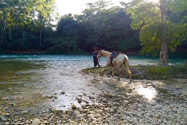 FARM RIDE from San Ignacio image