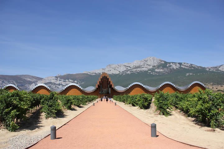 Rioja Full Experience Tour from San Sebastian with Lunch image