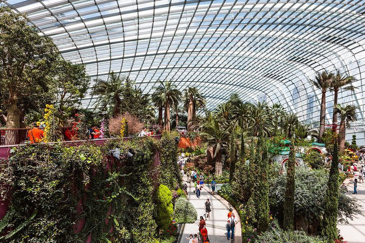 Garden by the Bay with two domes (Shared transfer) image