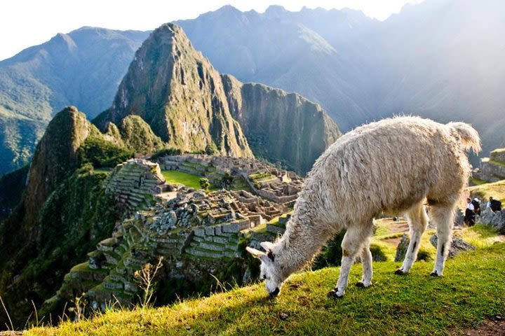 Machu Picchu By Train (Day Trip) image