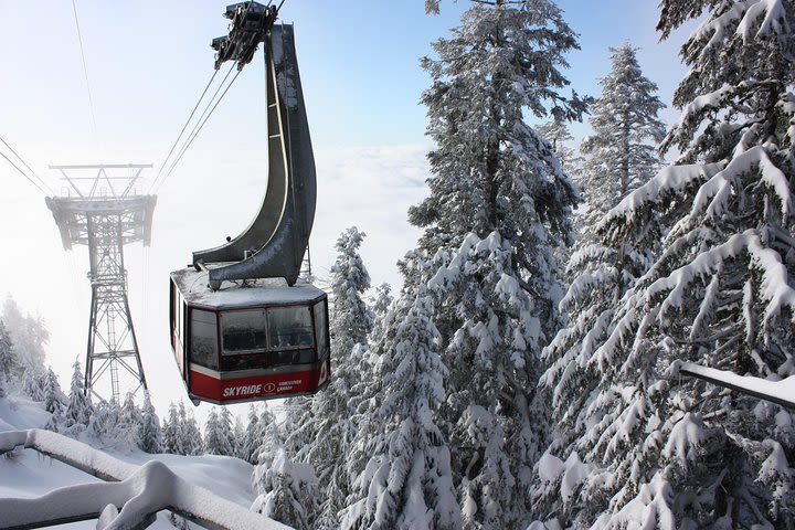 Private Tour: Capilano Suspension Bridge and Grouse Mountain image