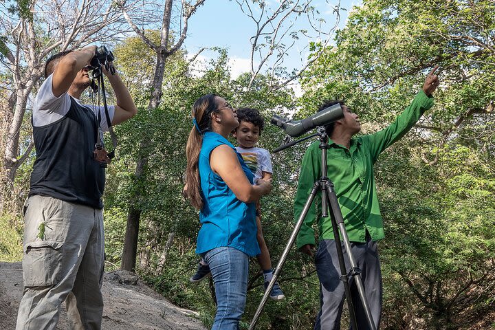 Private Rainforest Walk Through the Guanacaste National Park image