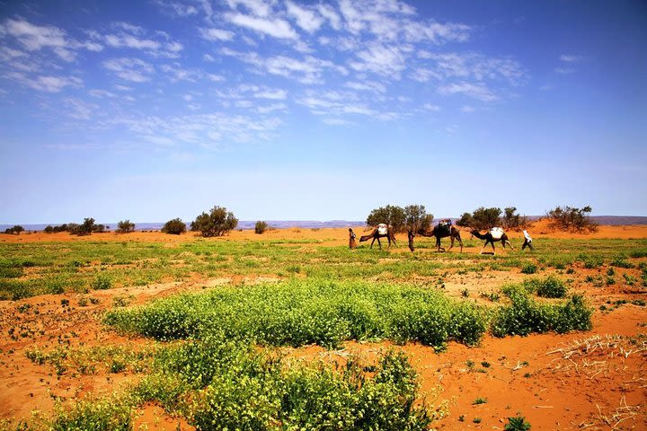 Erg Chigaga Desert Experience 3 days 2 night From Zagora image