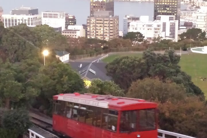 Private Wellington Full Day Sightseeing Tour image