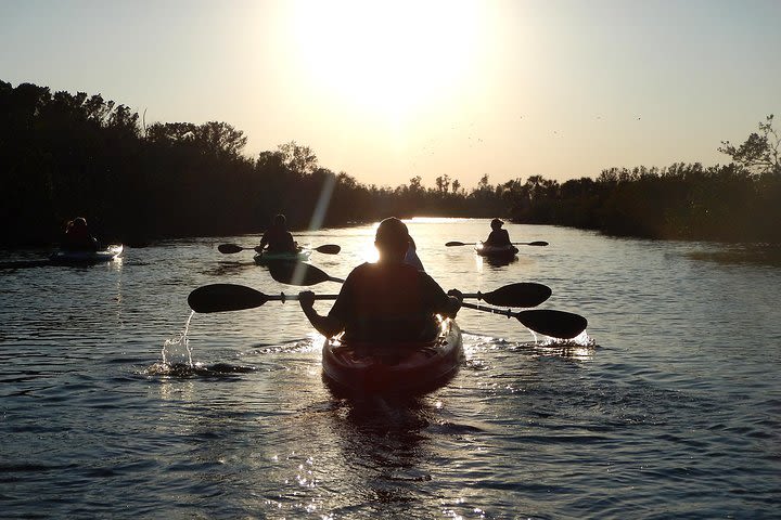 Manatees/Sunset/Bioluminescence Tour image