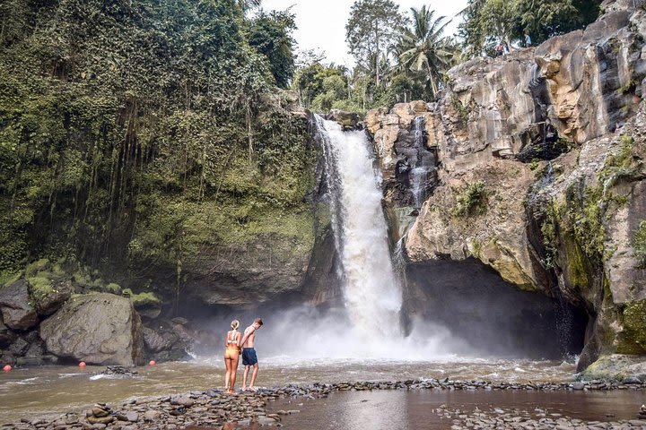 Explore Hidden Ubud Waterfall and Rice Terrace with Free Swing image