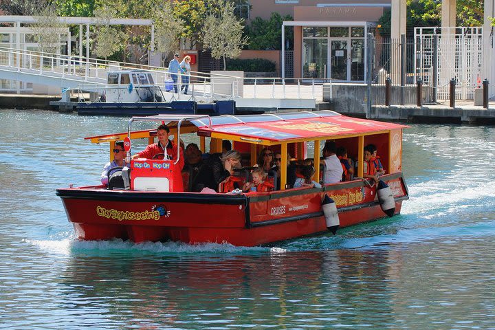 Hop-On Hop-Off Cape Town Canal Cruise image