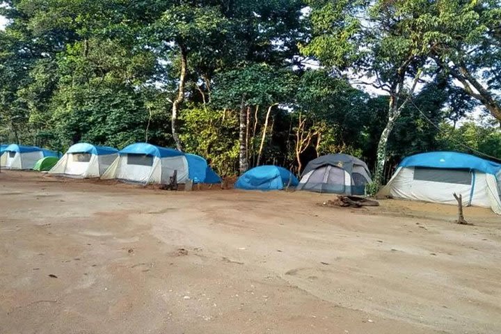 Camping in Sakleshpur - All Meals Included image