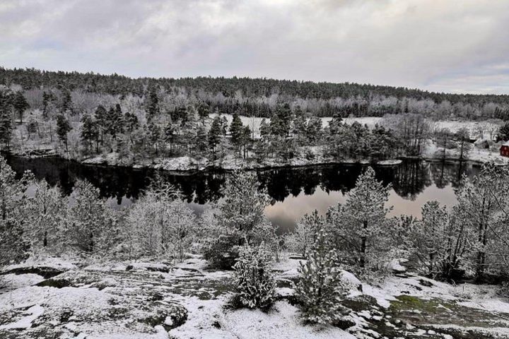 1-Day Small-Group Stockholm Nature Winter Hiking image