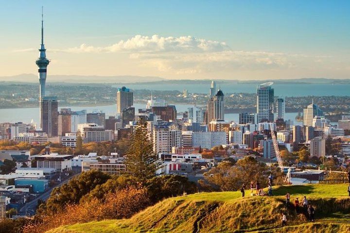 Auckland City Tour image