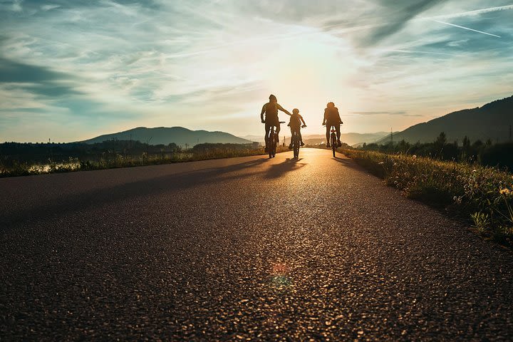 Ljubljana's Marshes Cycling Tour image