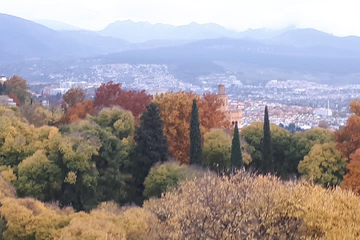 Alhambra Tour: Sultan Palace ,Gardens and Towers image