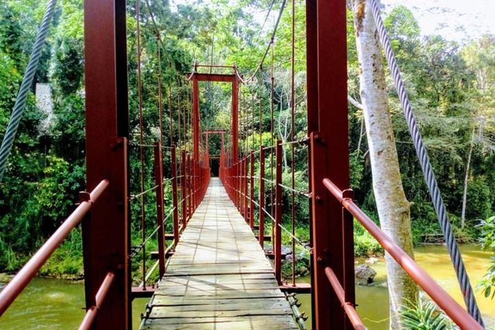 Sinharaja Rain forest tours image