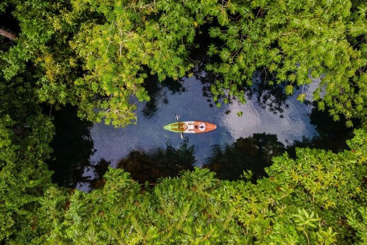 Manuel Antonio Mangrove Kayak Adventure image