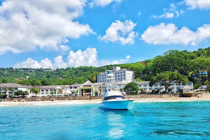 St Lucia Private Half-Day Coastal Powerboat Cruise image