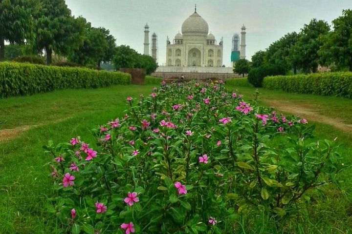 Taj Mahal Day trip with Sheroes Hangout cafe. image