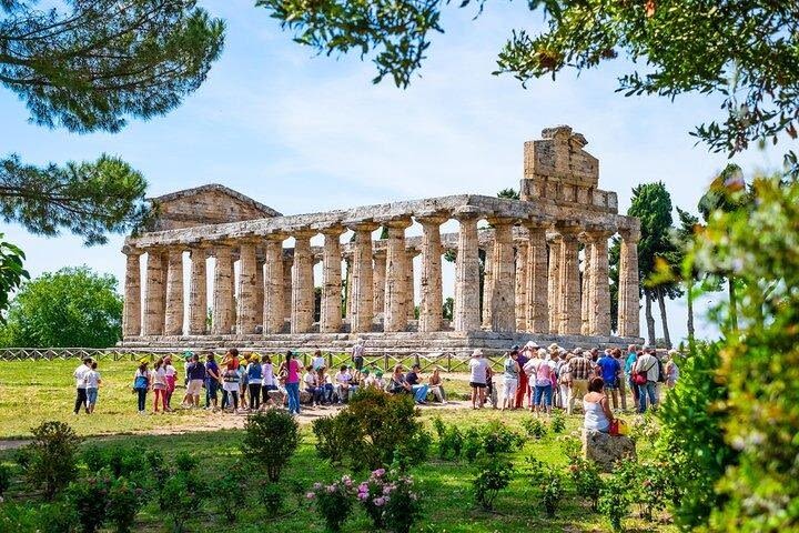 Paestum Archaeological Tour image